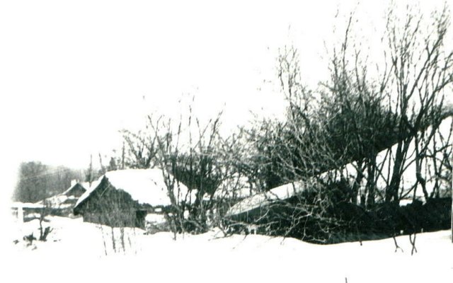 krukloje.jpg