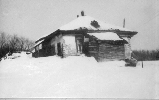 krukloje3.jpg